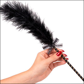 BDSM Tickler
