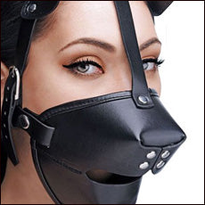 Hoods and Mouth Gags