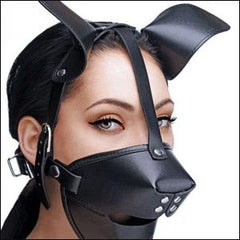 Hoods and Mouth Gags