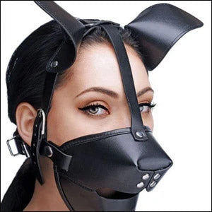 Hoods and Mouth Gags