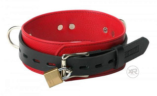 xr_tl102-back_750x457