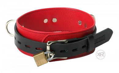 xr_tl102-back_750x457