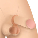 cn-09-0936-10-623_1000x1000