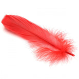 ah210-back_1000x1000