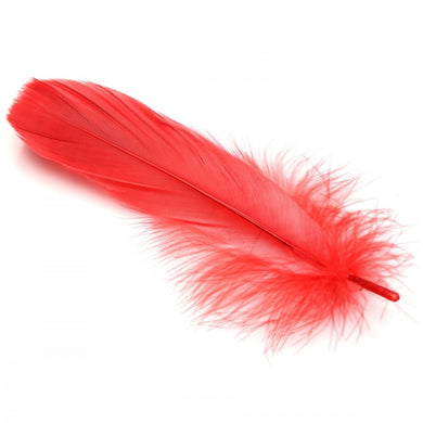 ah210-back_1000x1000