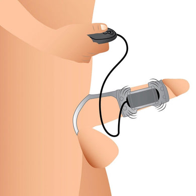 ah010-illustration-002_1000x1000