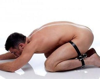 af224-model1_500x395_400_316_325_257