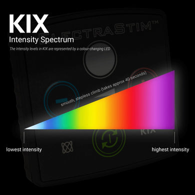 ElectraStim KIX Intro Electro Sex Stimulator