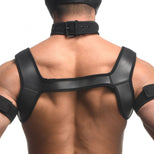 ah170-harness_1000x1000