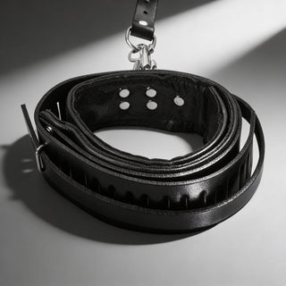 Strict Leather Sling and Stirrups