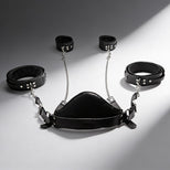 Strict Leather Sling and Stirrups