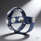 Blue Cock and Ball Harness