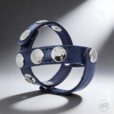 Blue Cock and Ball Harness
