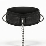 Submission Collar and Nipple Clamps