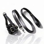 Ball Stretcher With Leash