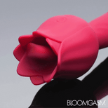 Racy Rose Thrusting and Licking Rose Vibrator