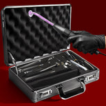 Ultimate Edition Violet Wand Set