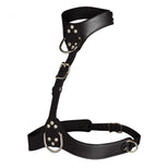 Vixen Female Chest Harness