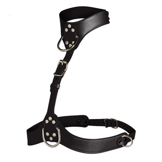 Vixen Female Chest Harness