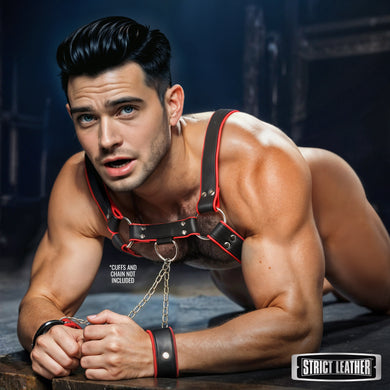 Leather English Bull Dog Harness