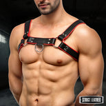 Leather English Bull Dog Harness