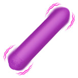 Purple Bullet Vibrator