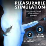E-Stim Inflatable Anal Plug & Urethral Sound Kit