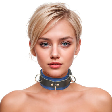 Strict Leather Deluxe Black and Blue Locking Collar
