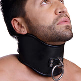 Strict Leather Posture BDSM Collars