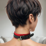 Strict Leather Deluxe Locking Red/Black Collar