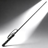 The Intense Impact Cane