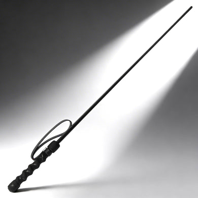 The Intense Impact Cane