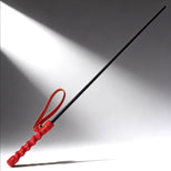 The Intense Impact Cane