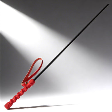 The Intense Impact Cane