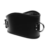 Padded Leather Locking Posture Collar