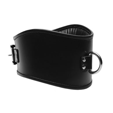 Padded Leather Locking Posture Collar