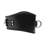 Padded Leather Locking Posture Collar