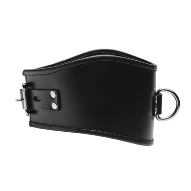 Padded Leather Locking Posture Collar