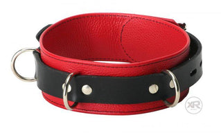 xr_tl102-front_750x452