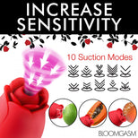 ah311_04_2_1000x1000