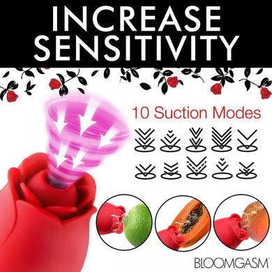 ah311_04_2_1000x1000