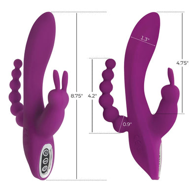 cn-21-2003-40-purple-dimensions