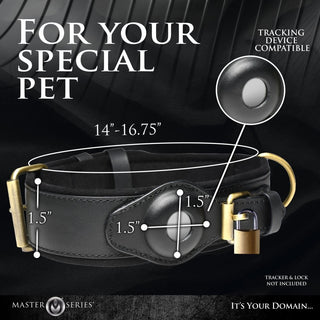 ah184_02_2_1000x1000