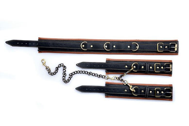 xr_ae817-coax-restraints-6b