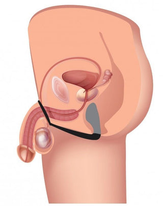 af124-explorer-ii-prostate-stimulator-diagram_592x750_1