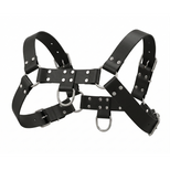 Black faux leather English Bulldog harness with adjustable straps, silver rivets, and front D-ring attachment points