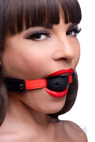 Frisky Subdue Me breathable ball gag with a black perforated ball and faux leather strap