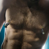 Captive Grip stainless steel nipple clamps on both nipples of a hairy, bearded model, Fort Troff