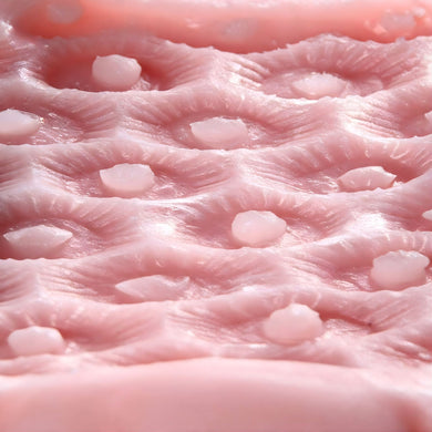 Close up of detailed internal texture with raised nodes and ridges for intense stimulation